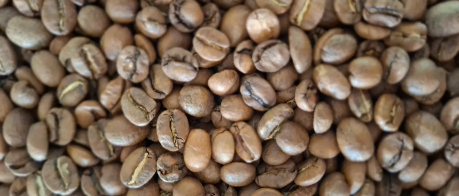 Roasted coffee beans.